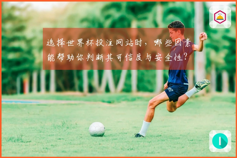 选择世界杯投注网站时，哪些因素能帮助你判断其可信度与安全性？