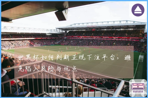 世界杯如何判断正规下注平台，避免陷入风险与坑点