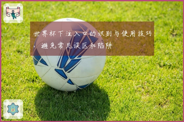 世界杯下注入口的识别与使用技巧，避免常见误区和陷阱