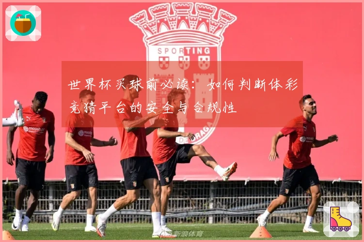 世界杯买球前必读：如何判断体彩竞猜平台的安全与合规性